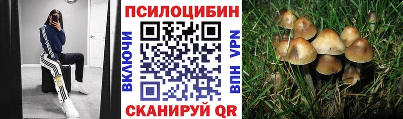Галлюциногенные грибы MAGIC MUSHROOMS  Купить где  Сафоново 