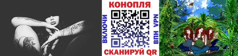 Каннабис план  Купить закладки  Сафоново 